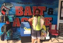 Tuna schools have arrived