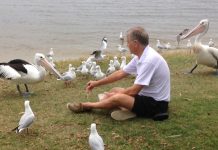 A pelicans work on climate change