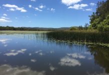 Indigenous project taps into cultural tourism