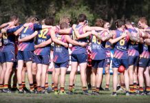 Tigers ready to roll