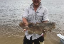 Sun shines on Noosa over the Easter weekend