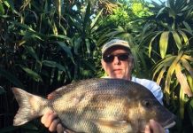 Strong winds hamper anglers over long weekend