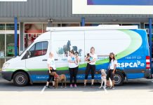 Noosa Million Paws Walk