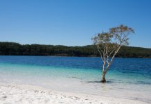 World Heritage milestone