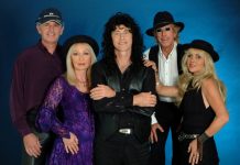 Tribute to Fleetwood Mac