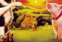 Babe movie on the Cooroy Library rooftop