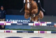 Jumping on the World stage