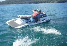 Lunchtime for School Sharks