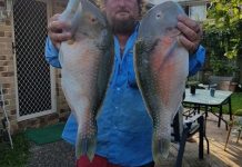 Plenty of Pelagics off shore