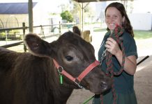 School on the mooove to the show