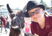 Protectors and providers