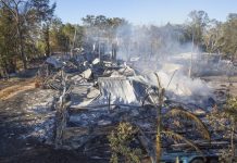 Rising from the ashes