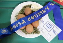 Noosa shows it country side