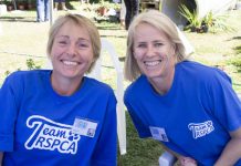 Fair for cats and dogs