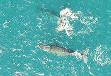 View from above aids research