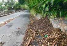 Turkey settles on prime land