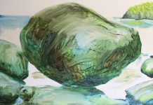 Noosa National Park captured in art