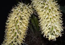 More than meets the eye