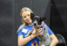 RSPCA pet sale