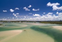 Coughing up millions for oysters