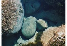 Photos follow the tides