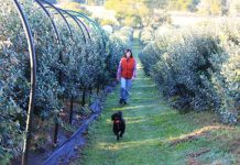 Connecting through Food