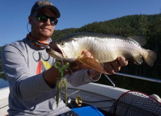 Hard to catch nothing