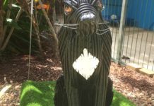 For the love of Daisy