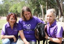 Noosa’s first animal-assisted therapy