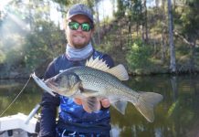 Winter species on the way