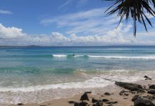 Grants to highlight Noosa on tourism map