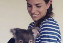 Koala habitat affects genes