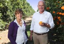 Wide Bay food producers to take on the world