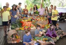 Festival harvest charity bound