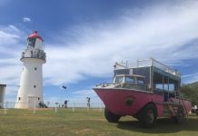 The Light of Tragedy