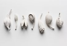 Gallery chosen as major festival’s first interstate venue