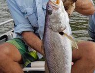 Window of fine weather good for fishing