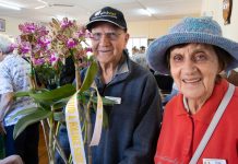 Festival bursts into Cooroy