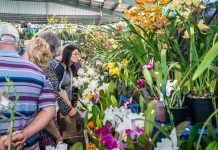 Iconic event celebrates 35 years of gardening greatness