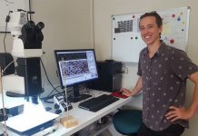 Mangroves drone research turns tide for Peregian Beach local