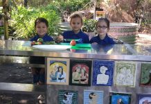 From garden to plate