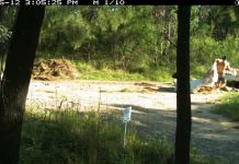 Dump rubbish illegally and expect a fine