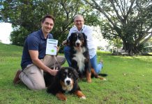 Register dogs for free in May