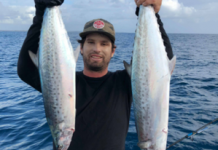 Cracking week for Spanish mackerel