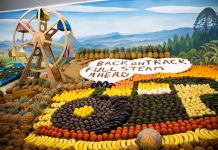 All the fun of the show