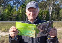 Noosa farewells koala Aggie
