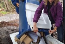 School festival goes green