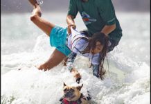 Photos shine in Newspaper Awards