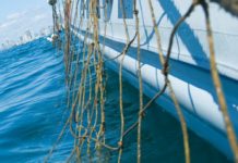 Rough weather forces removal of Sunshine Coast shark nets