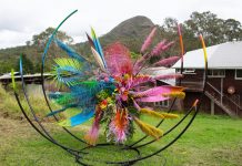 Tall Trees inspires future projects